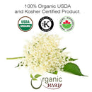 Elderberry Flower , European Wild Harvest