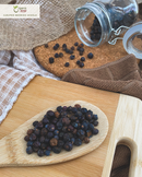 Juniper Berries, European Wild Harvest