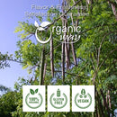 Moringa Leaf (Cut & Sifted)