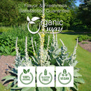 Mullein Leaf Powder, European Wild Harvest