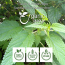 Nettle Leaf (Cut & Sifted), European Wild Harvest