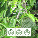 Soursop Leaf Coarse Cut