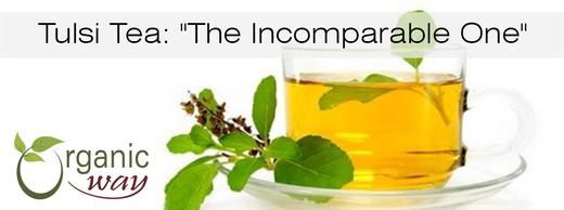 Tulsi Tea (Holy Basil): "The Incomparable One"