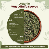 Alfalfa Leaves Cut & Sifted - Herbal Tea - Origin Egypt