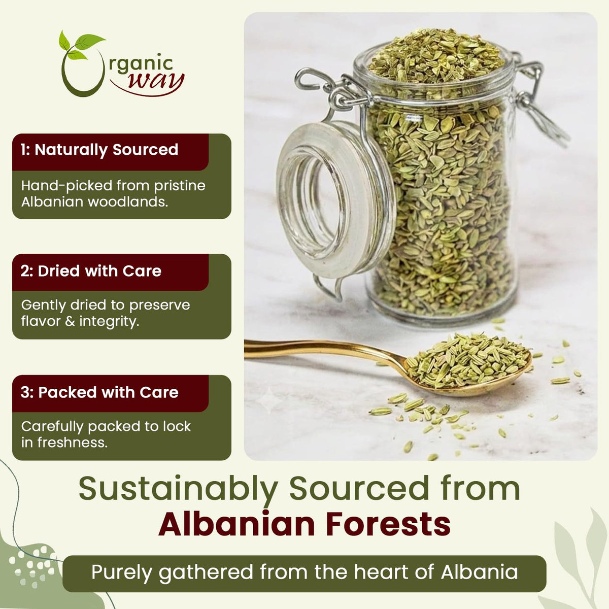 Echinacea Purpurea Cut & Sifted – Origin Albania