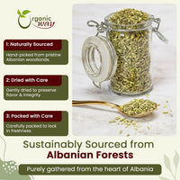 Echinacea Purpurea Cut & Sifted – Origin Albania