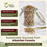 Dried Angelica Root Cut & Sifted - Origin Albania