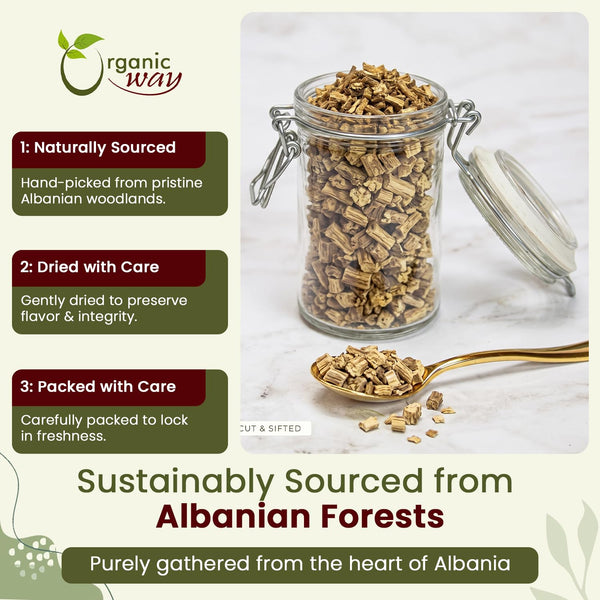Dried Angelica Root Cut & Sifted - Origin Albania