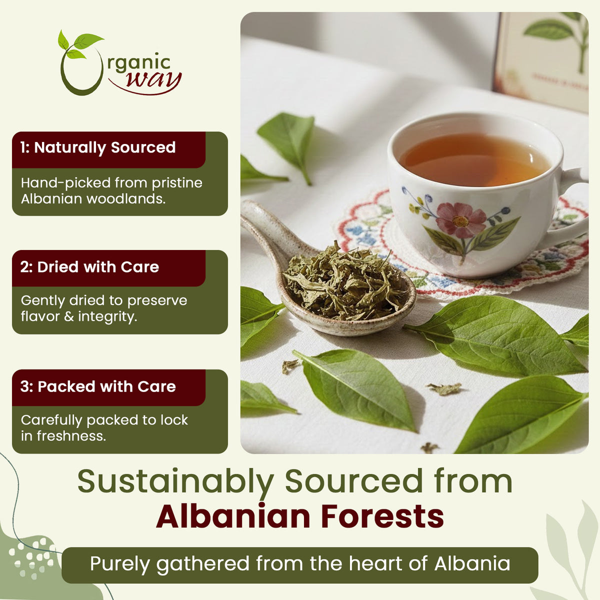 Plantain Leaf Cut & Sifted - from Albania