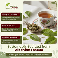 Plantain Leaf Cut & Sifted - from Albania