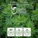 Mugwort Herb Loose Leaf Cut & Sifted, European Wild-Harvest