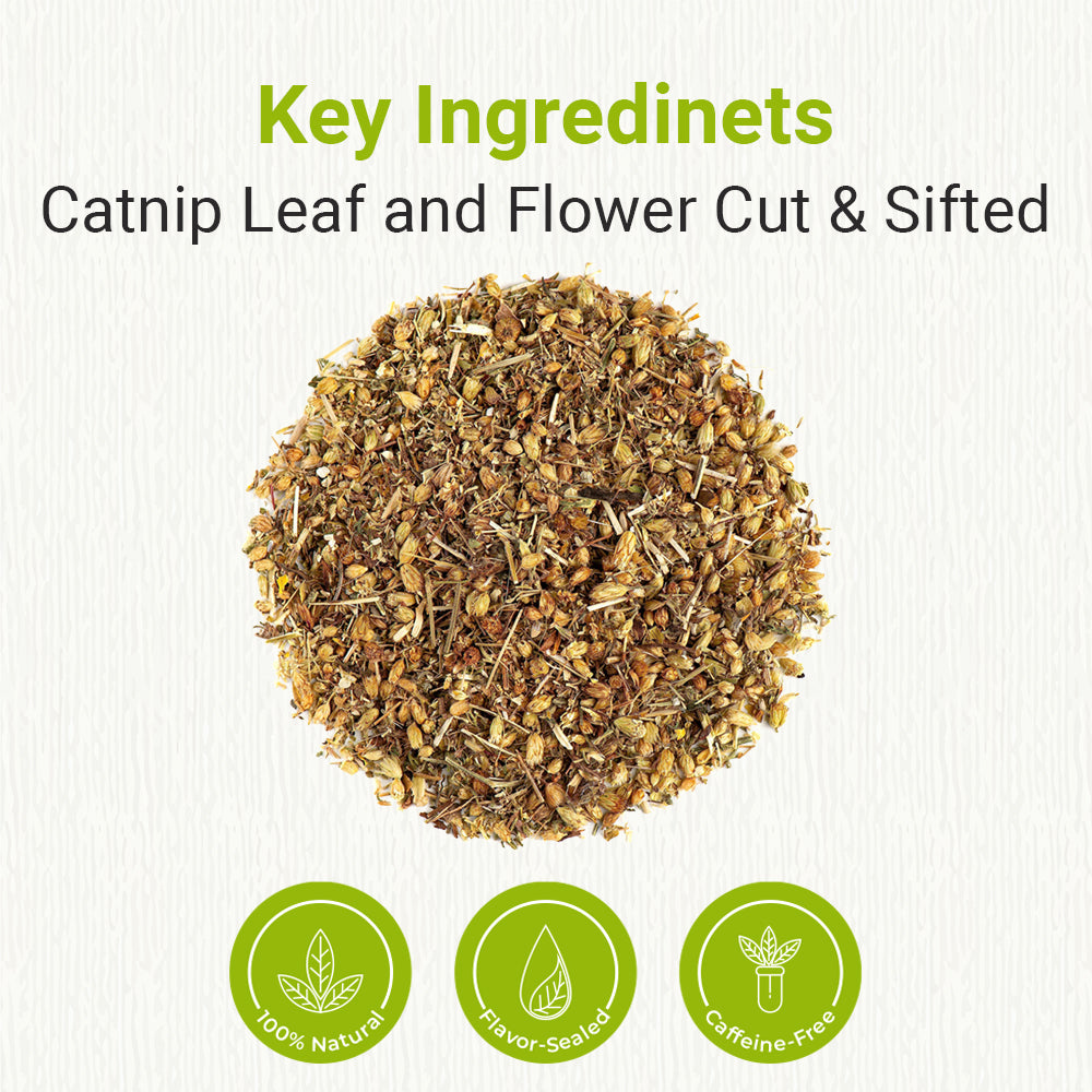 Natural Catnip Leaf and Flower Cut & Sifted