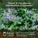 Natural Catnip Leaf and Flower Cut & Sifted