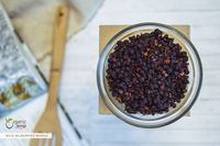 Wild Bilberries Fruit (Whole), European Wild Harvest