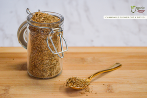 Chamomile Flowers (Cut & Sifted), European Wild Harvest