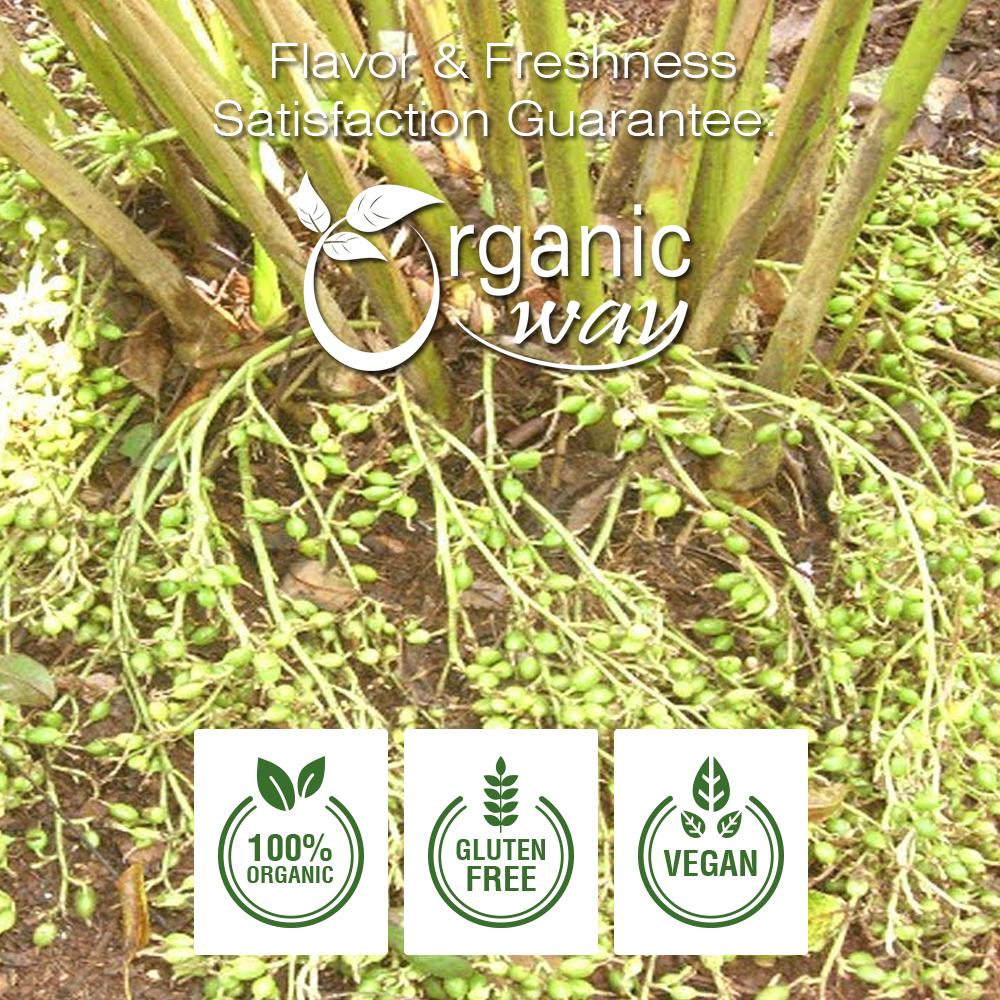 Cardamom Green (Cut & Sifted)