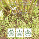 Cardamom Green (Cut & Sifted)