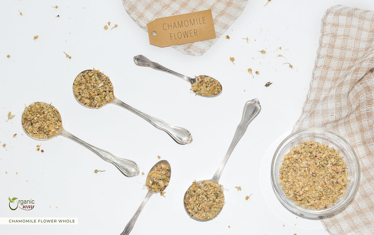 Chamomile Flower Whole, European Wild Harvest
