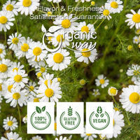 Chamomile Flower Whole, European Wild Harvest