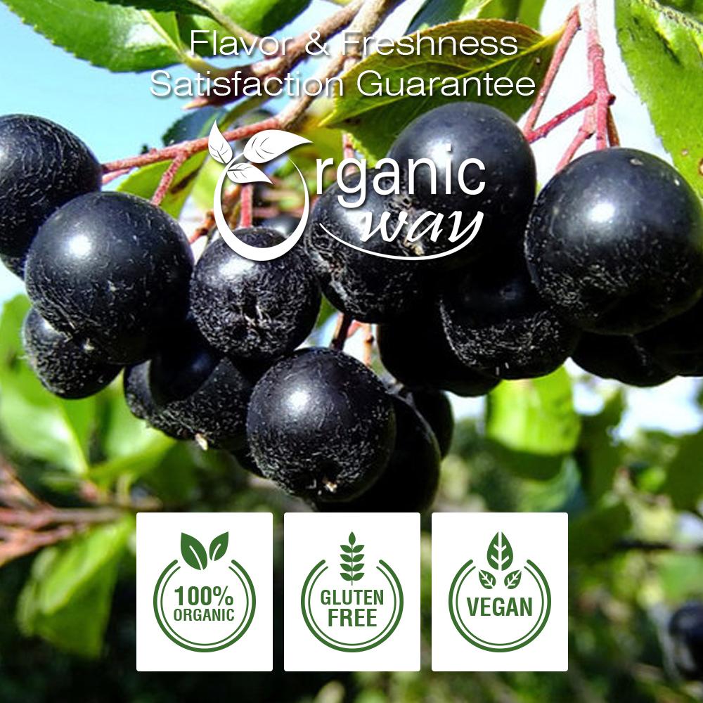 Chokeberries Fruit Whole, European Wild Harvest