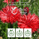 Cornflower Red (Whole), European Wild Harvest