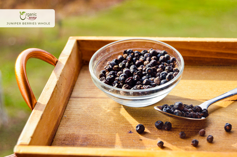 Juniper Berries, European Wild Harvest