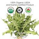 Dandelion Leaf (Whole), European Wild Harvest