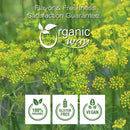 Fennel Powder