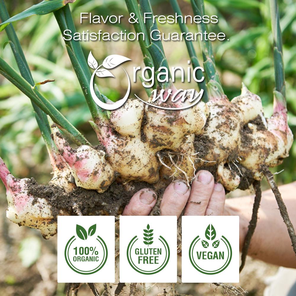 Ginger (Cut & Sifted) – organicwaywholesale