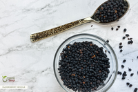 Elderberry (Whole), European Wild Harvest