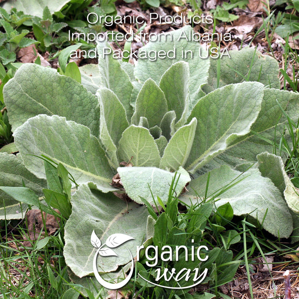 Mullein Leaf Powder, European Wild Harvest