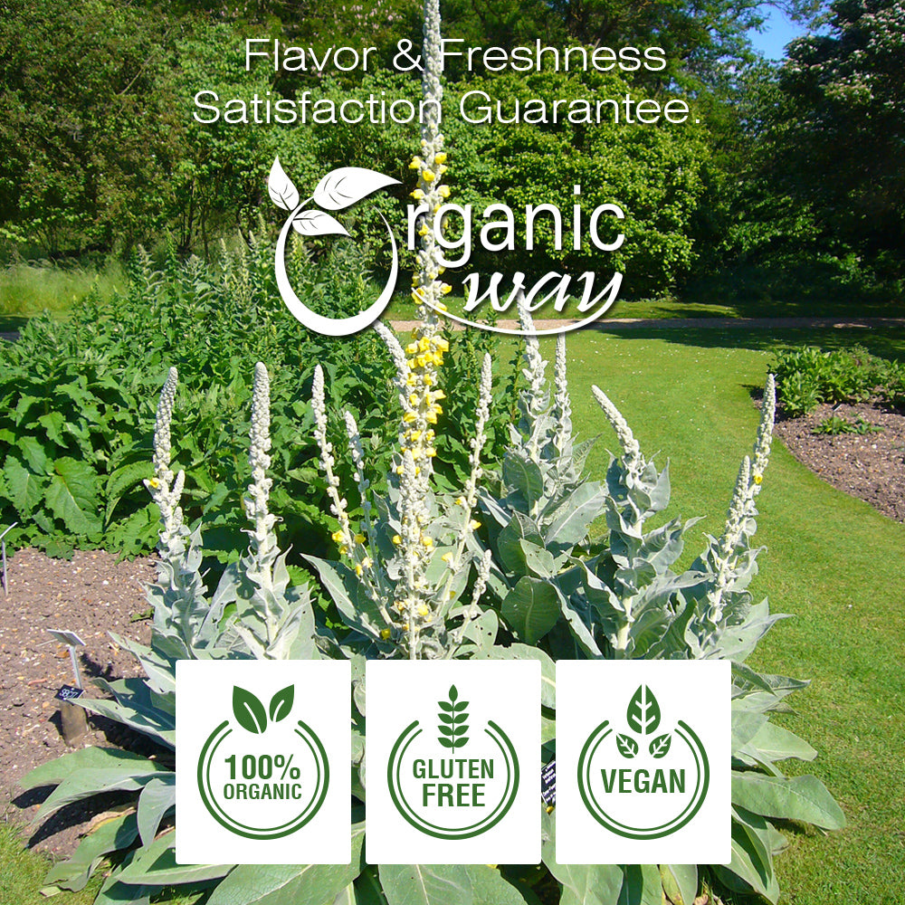 Mullein Leaf Powder, European Wild Harvest