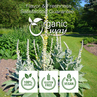 Mullein Leaf Powder, European Wild Harvest