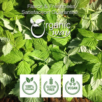 Raspberry Leaf Whole