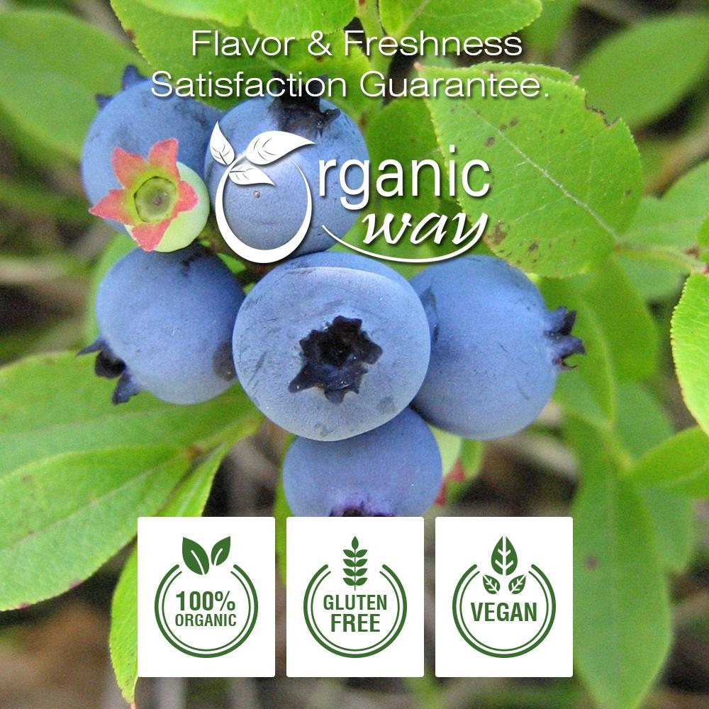 Wild Bilberries Fruit (Whole), European Wild Harvest