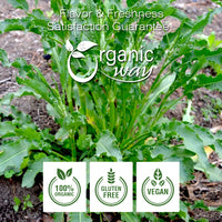 Yellow Dock Root Powder, European Wild Harvest